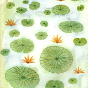 lily pond