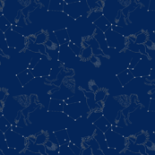 pegasus