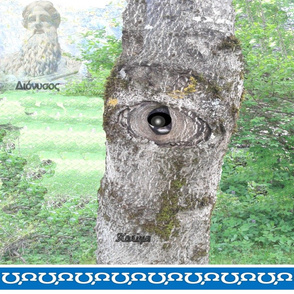 Rrrgaia_22