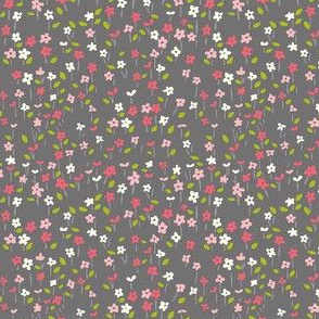 field_o_f...