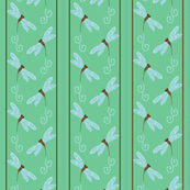 dragonfly friends