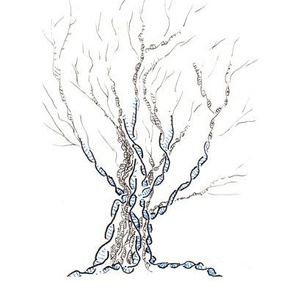 little gene tree