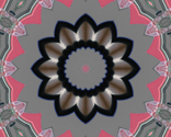 Rimg_0209