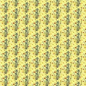 Pussy Willows