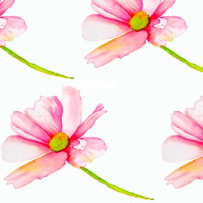Pink Daisy