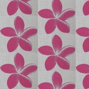 frangipani_Pink Weave