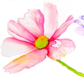 Pink and Purple Daisies