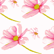 Pink and Pink Daisies