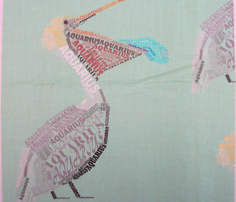 Aquarius the Water-Bearing Pelican