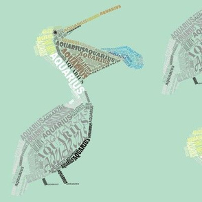 Aquarius the Water-Bearing Pelican