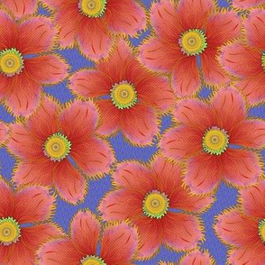FRINGED_FLORAL CORAL