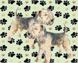 Lakeland_terriers_thumb