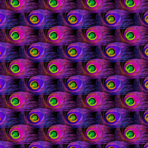 Punk Rock Peacock ~ Two Tone