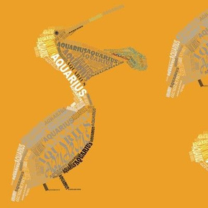 Aquarius the Pelican Orange