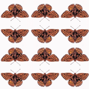 Checkerspot Butterfly