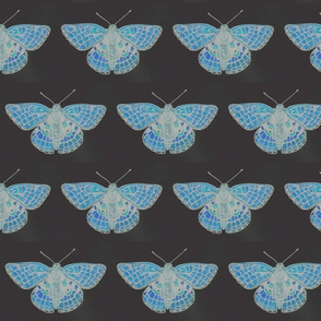 blue butterfly