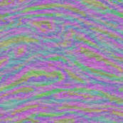 paua test Q