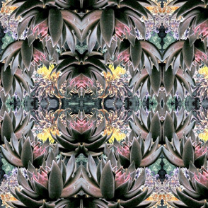 Desert Lotus