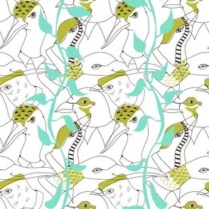 birds
