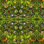 Rainforest Mirror Version