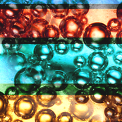 Dustins Bubbles