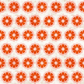 orange_cushionflower
