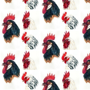 Just us chickens