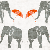 elephant_summer