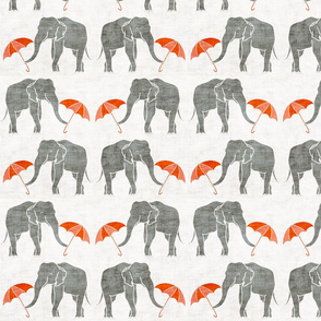 elephant_summer