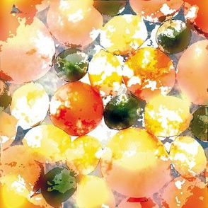 Citrus Fruit