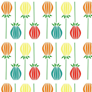 persimmons
