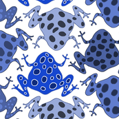 Blue Spotted Frogs