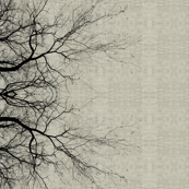 Arbor Vertical