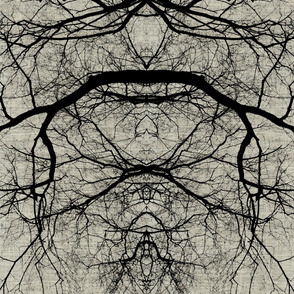 Arbor Ver...