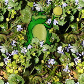 "Weep No More, Highness!  For I Have Found Your Golden Ball!" said the little frog   (day)