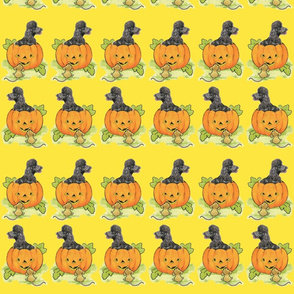 halloween_pumpkin_with_poodle