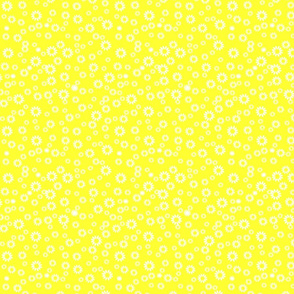 Bright yellow daisies
