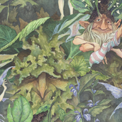 Forest Faeries
