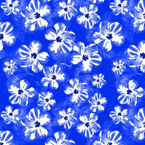 Blue Hibiscus