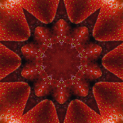tile277