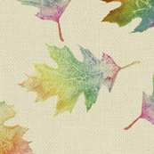 rainbow oak leaves (large leaves)