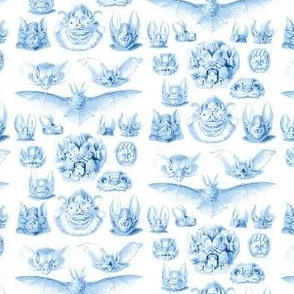 Fledermaus Toile Blue