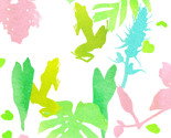 Rrtropical_thumb