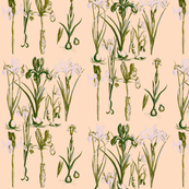 Rr6439_botanical_ed_shop_thumb