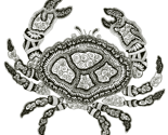 Rrcrab1_thumb
