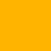 solid pumpkin orange