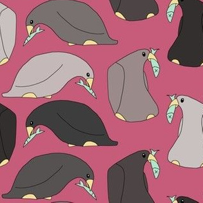 Penguins and Fish