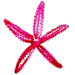 cestlaviv_starfish1 pink