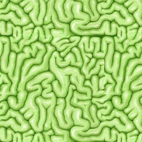 Green Brains