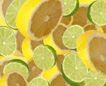 Rrcitrus-contest_thumb